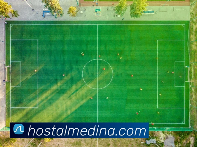mk体育官方网站APP 封面图